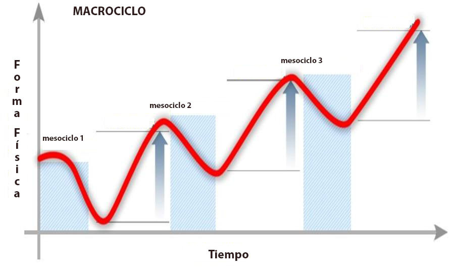 Distribución de los macro ciclos para alcanzar los picos de forma